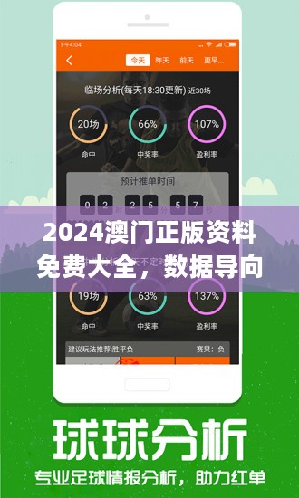 2024新澳开奖结果-精选解释解析落实